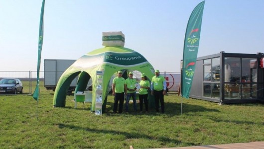 Agriplanta Vest Groupama Asigurari