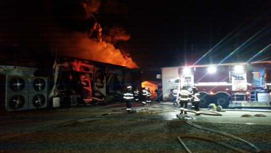 Incendiu Radic