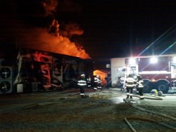 Incendiu Radic