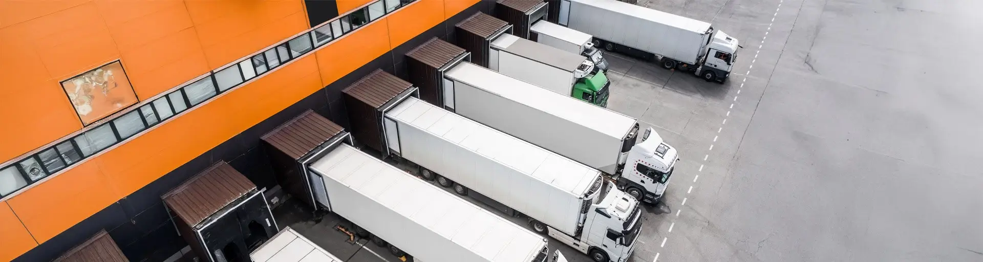 Asigurarea-de-raspundere-civila-a-caselor-de-expeditie Asigurarea de raspundere civila a caselor de expeditie