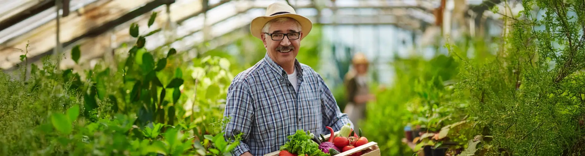 Programul-de-fidelitate-Asigurarile-dau-roade-Groupama-Star-1 Programul de fidelitate Asigurarile dau roade Groupama-Star